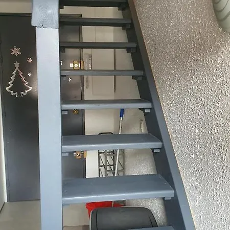 Azur Sancy Fibre Orange ル・モンドール